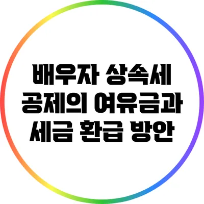 배우자 상속세 공제의 여유금과 세금 환급 방안