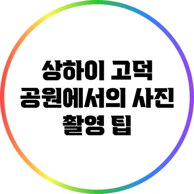 상하이 고덕 공원에서의 사진 촬영 팁