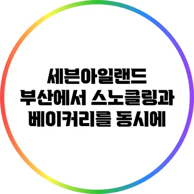 세븐아일랜드: 부산에서 스노클링과 베이커리를 동시에