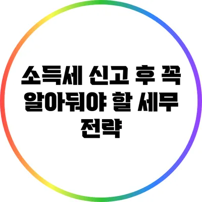 소득세 신고 후 꼭 알아둬야 할 세무 전략