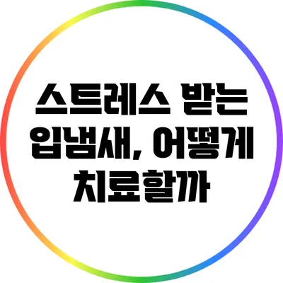 스트레스 받는 입냄새, 어떻게 치료할까?