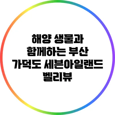 해양 생물과 함께하는 부산 가덕도 세븐아일랜드 벨리뷰