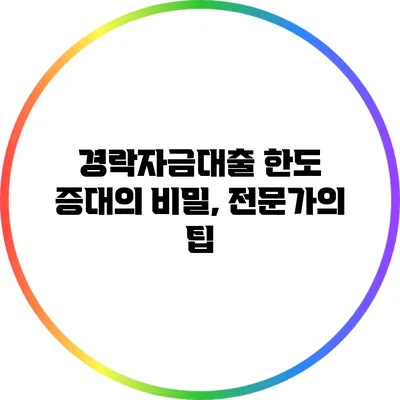 경락자금대출 한도 증대의 비밀, 전문가의 팁