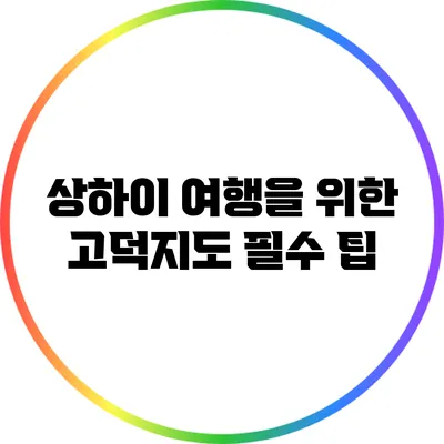 상하이 여행을 위한 고덕지도 필수 팁