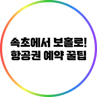 속초에서 보홀로! 항공권 예약 꿀팁