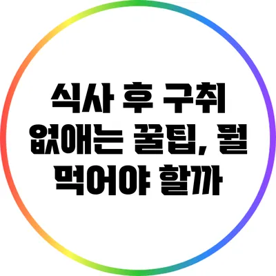 식사 후 구취 없애는 꿀팁, 뭘 먹어야 할까?