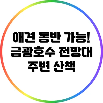 애견 동반 가능! 금광호수 전망대 주변 산책