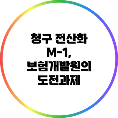 청구 전산화 M-1, 보험개발원의 도전과제