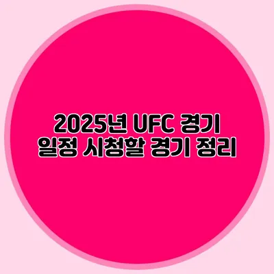 2025년 UFC 경기 일정 시청할 경기 정리