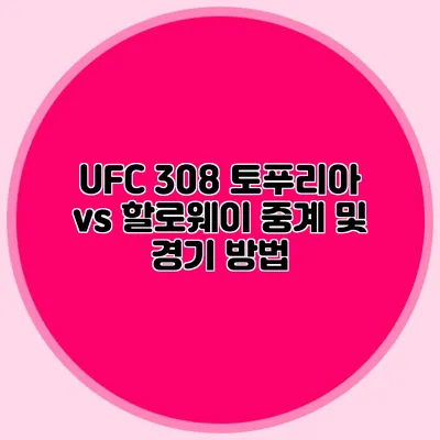 UFC 308 토푸리아 vs 할로웨이 중계 및 경기 방법