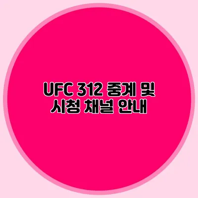 UFC 312 중계 및 시청 채널 안내