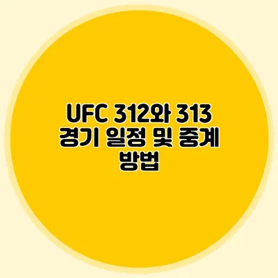 UFC 312와 313 경기 일정 및 중계 방법