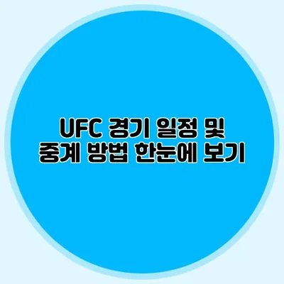 UFC 경기 일정 및 중계 방법 한눈에 보기