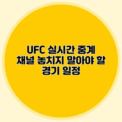 UFC 실시간 중계 채널 놓치지 말아야 할 경기 일정