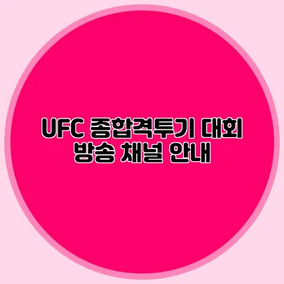UFC 종합격투기 대회 방송 채널 안내