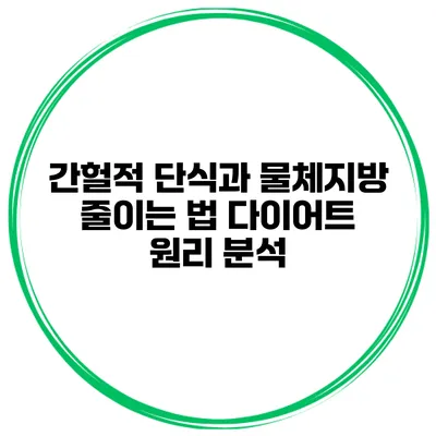 간헐적 단식과 물체지방 줄이는 법 다이어트 원리 분석