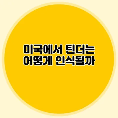 미국에서 틴더는 어떻게 인식될까?