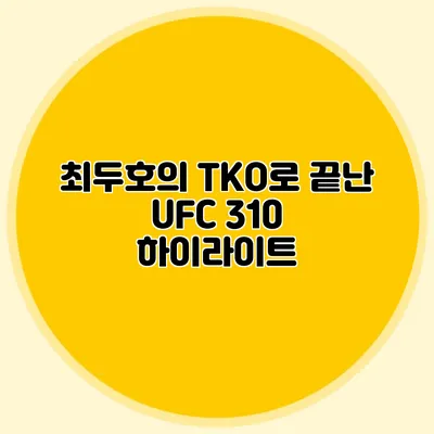 최두호의 TKO로 끝난 UFC 310 하이라이트
