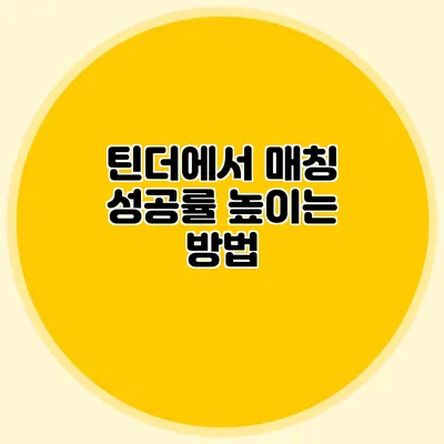 틴더에서 매칭 성공률 높이는 방법