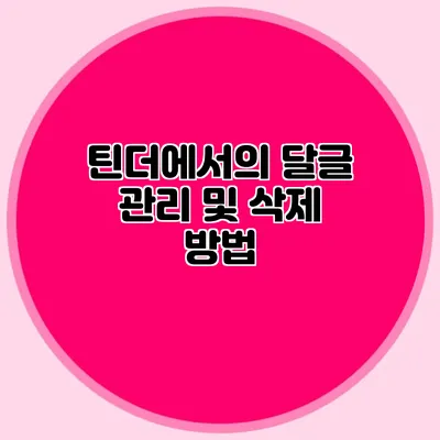 틴더에서의 달글 관리 및 삭제 방법