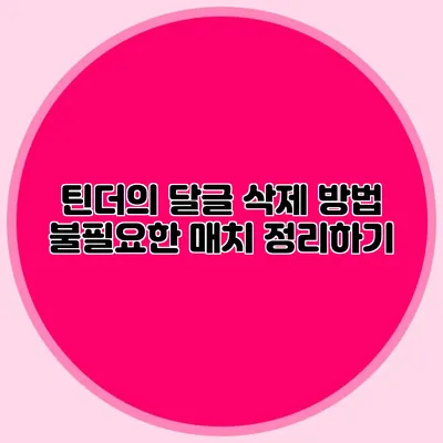 틴더의 달글 삭제 방법 불필요한 매치 정리하기