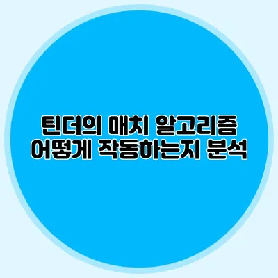 틴더의 매치 알고리즘 어떻게 작동하는지 분석