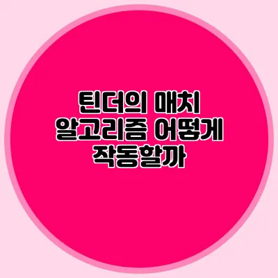 틴더의 매치 알고리즘 어떻게 작동할까?