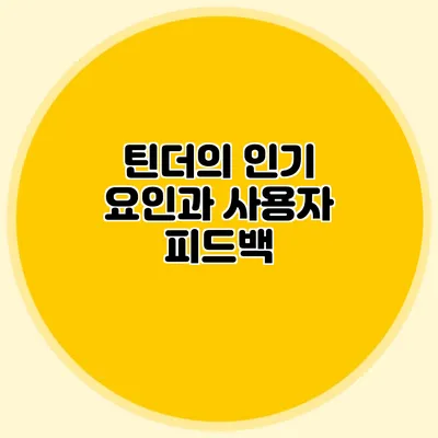 틴더의 인기 요인과 사용자 피드백