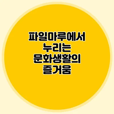 파일마루에서 누리는 문화생활의 즐거움
