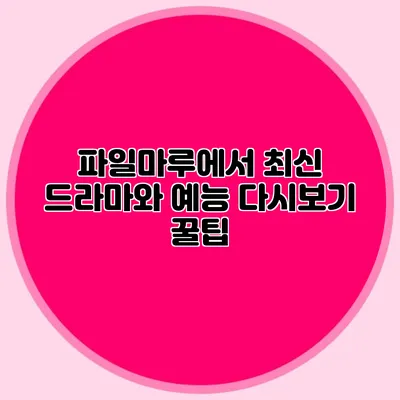 파일마루에서 최신 드라마와 예능 다시보기 꿀팁