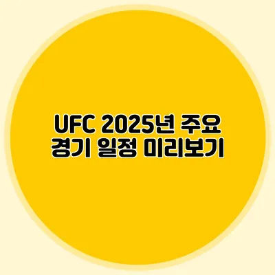 UFC 2025년 주요 경기 일정 미리보기