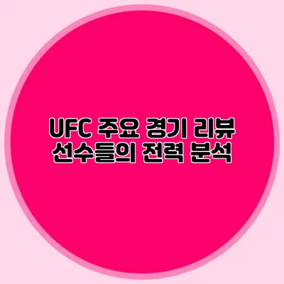UFC 주요 경기 리뷰 선수들의 전력 분석
