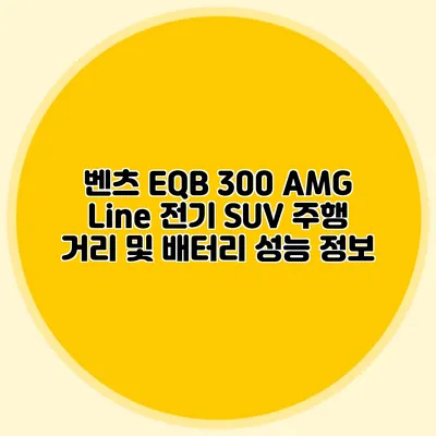 벤츠 EQB 300 AMG Line 전기 SUV 주행 거리 및 배터리 성능 정보