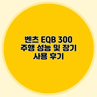 벤츠 EQB 300 주행 성능 및 장기 사용 후기