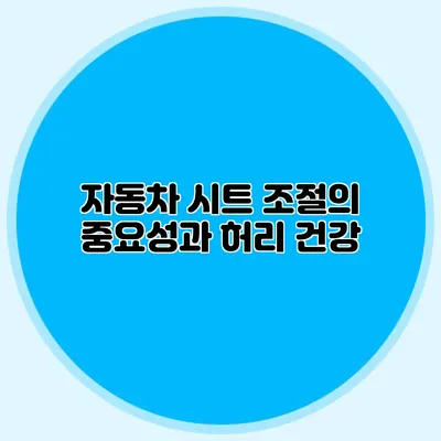 자동차 시트 조절의 중요성과 허리 건강