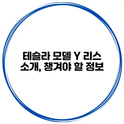 테슬라 모델 Y 리스 소개, 챙겨야 할 정보