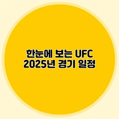 한눈에 보는 UFC 2025년 경기 일정